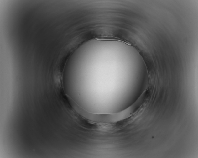 X0000091900141200709261704