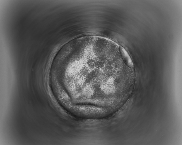 X0000091900145200709261704