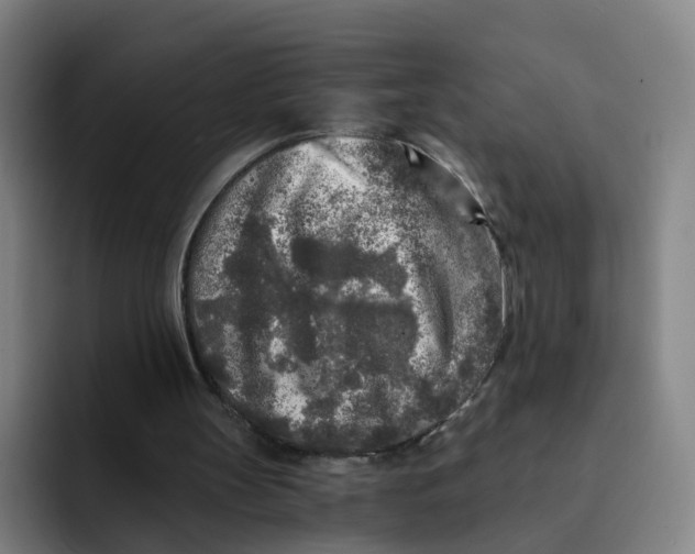 X0000091900147200709261704