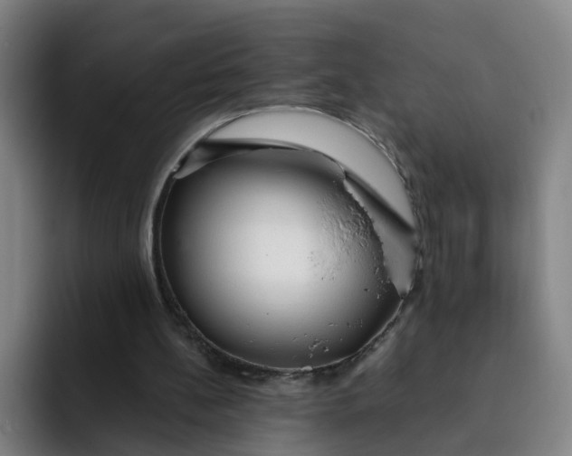 X0000091900148200709261704