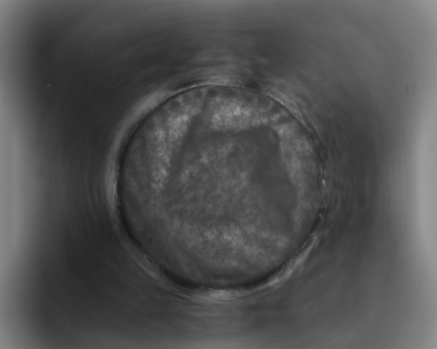 X0000091900149200709261704