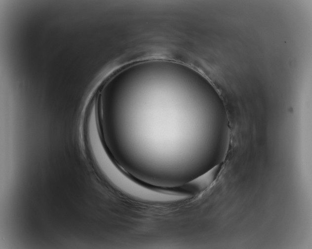 X0000091900152200709261704