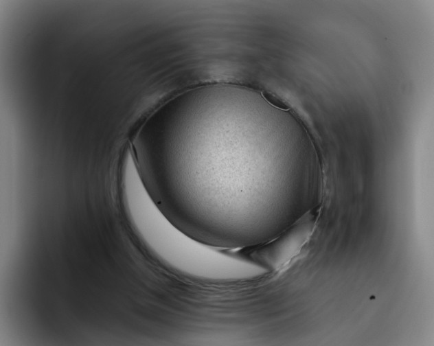 X0000091900154200709261704