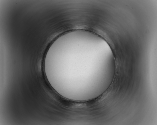 X0000091900155200709261704