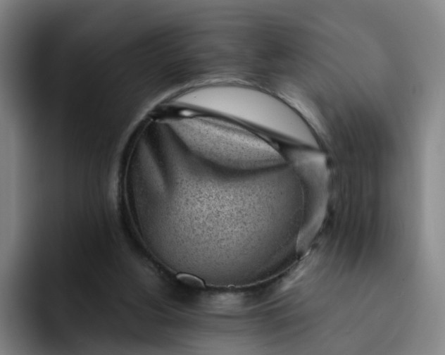 X0000091900156200709261704