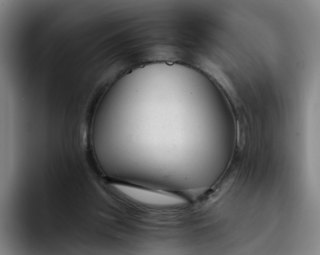 X0000091900157200709261704