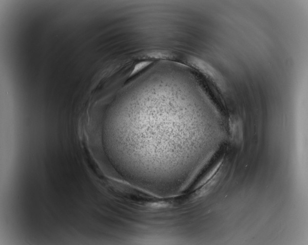 X0000091900158200709261704