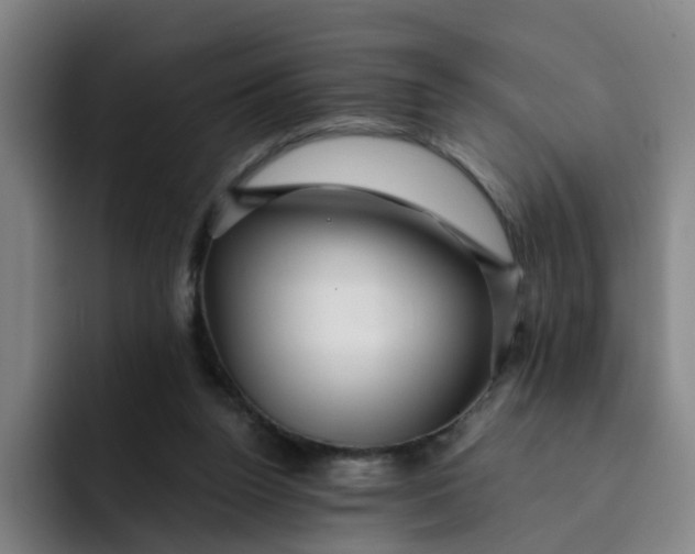 X0000091900160200709261704