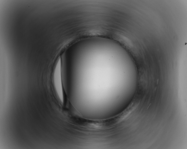 X0000091900164200709261704