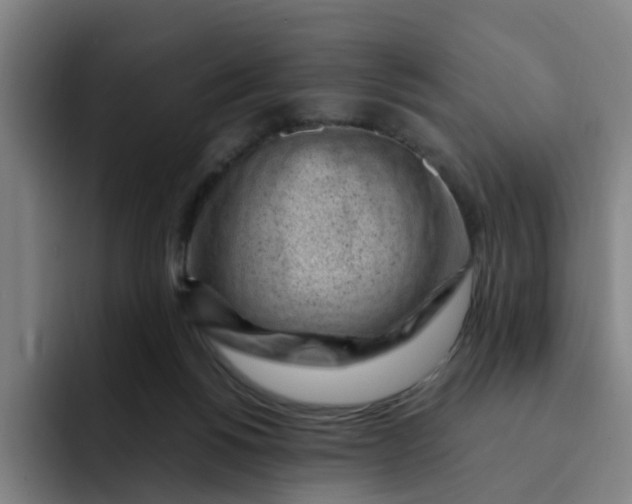 X0000091900168200709261704