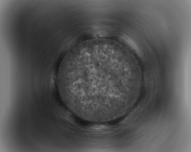 X0000091900169200709261704