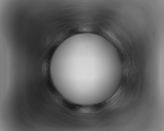 X0000091900171200709261704