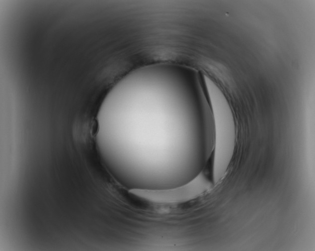 X0000091900172200709261704