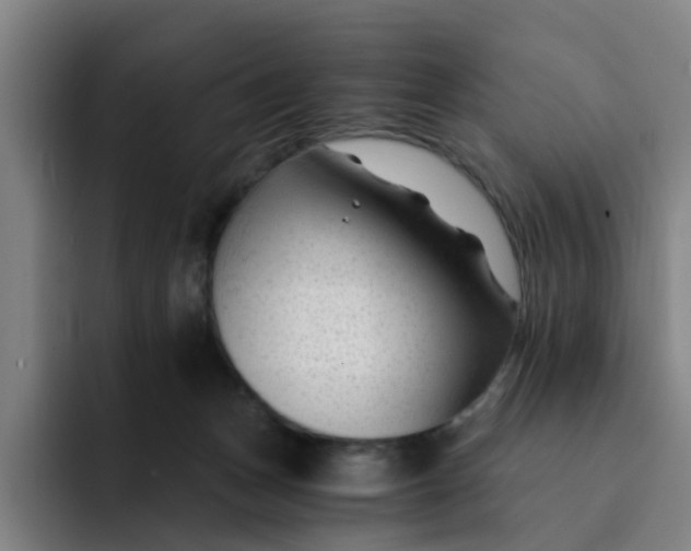 X0000091900175200709261704