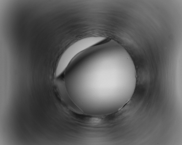 X0000091900176200709261704