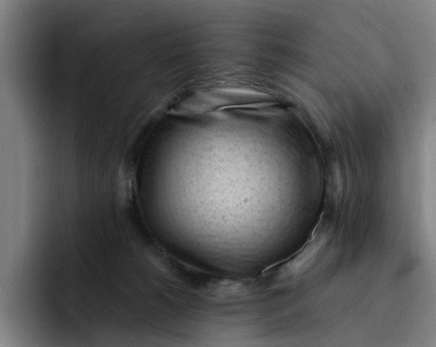 X0000091900180200709261704