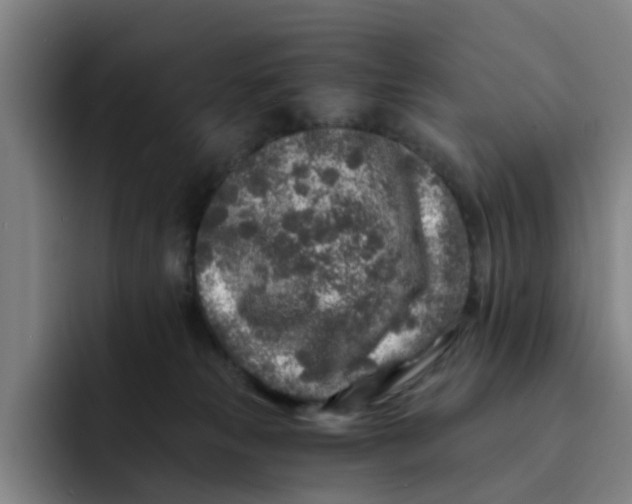 X0000091900181200709261704