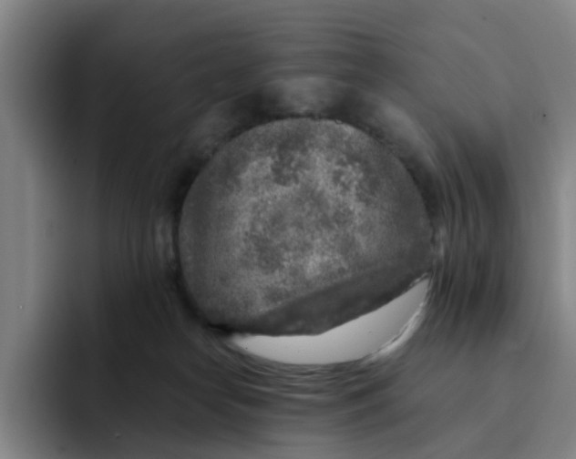 X0000091900182200709261704