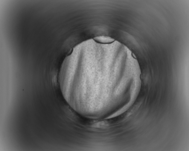 X0000091900185200709261704