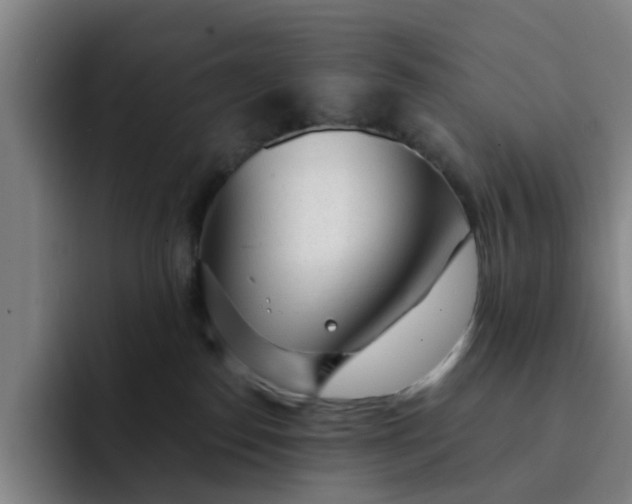 X0000091900186200709261704