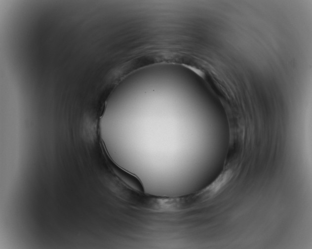 X0000091900188200709261704