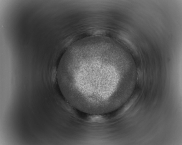 X0000091900189200709261704