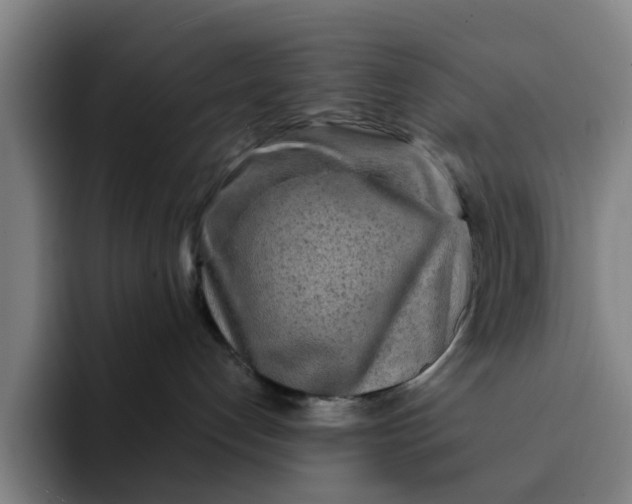 X0000091900192200709261704