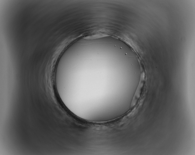 X0000091900193200709261704