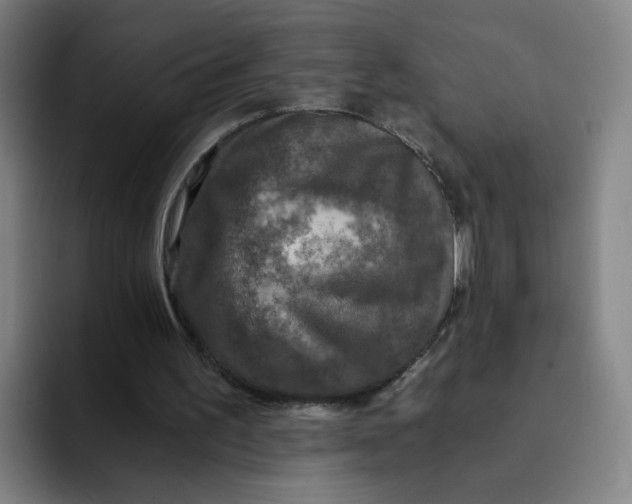 X0000091900195200709261704