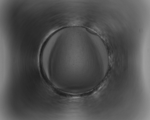 X0000091900196200709261704