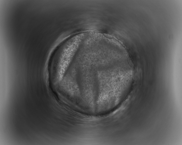 X0000091900198200709261704