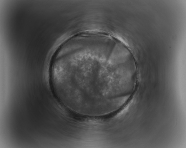 X0000091900199200709261704