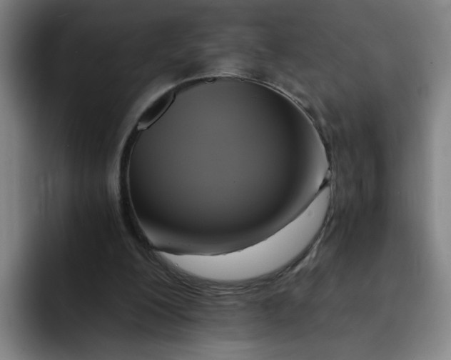 X0000091900200200709261704