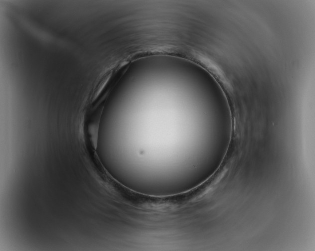 X0000091900201200709261704