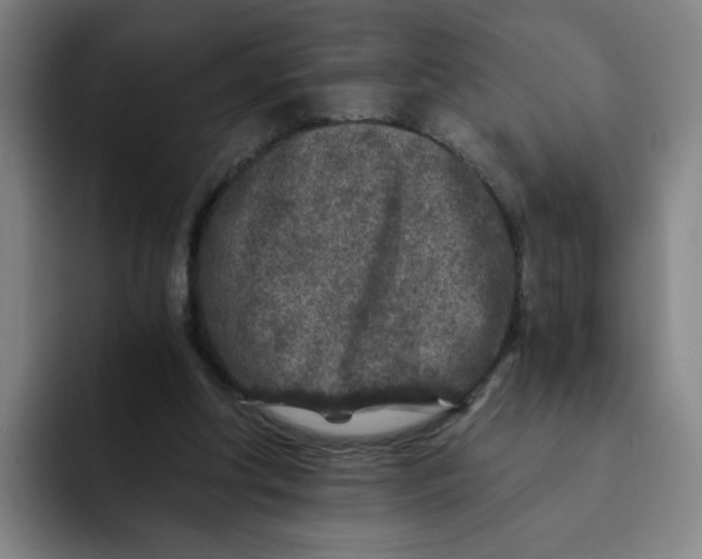 X0000091900202200709261704