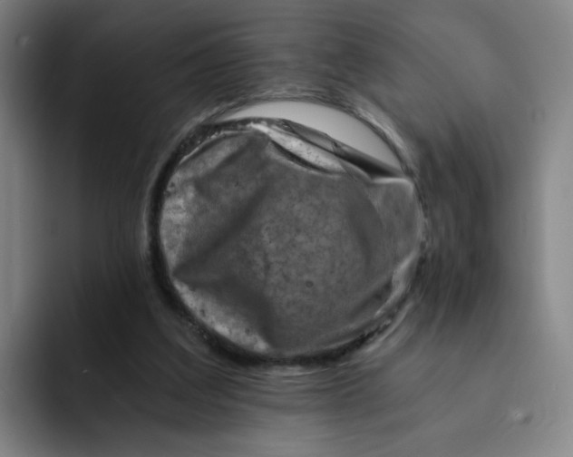 X0000091900203200709261704