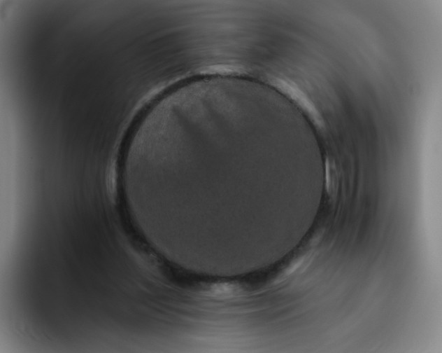 X0000091900204200709261704