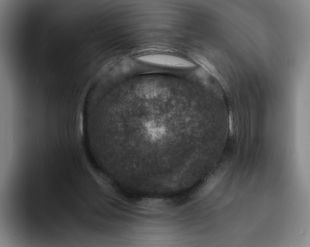 X0000091900205200709261704