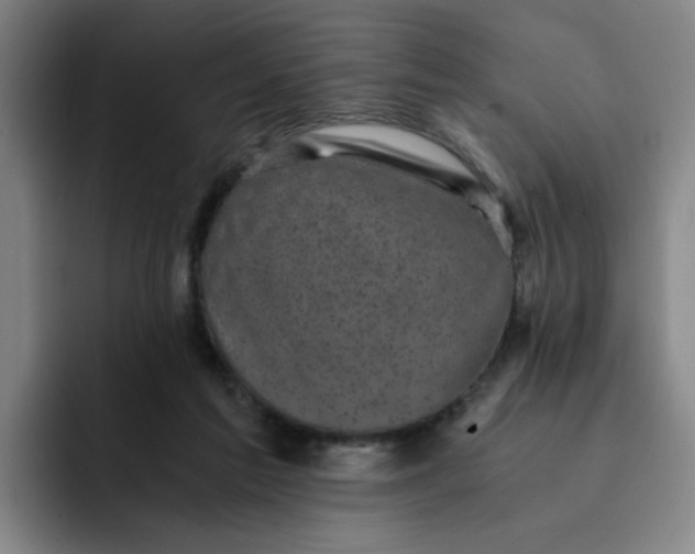 X0000091900213200709261703