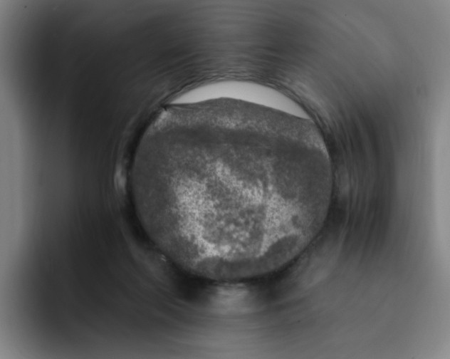 X0000091900214200709261703