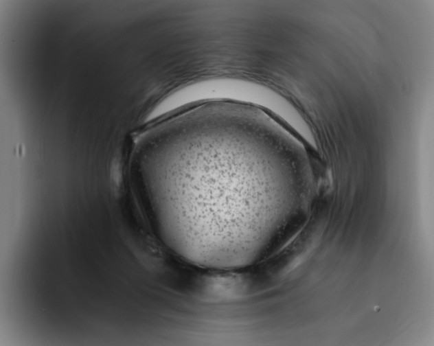 X0000091900215200709261703