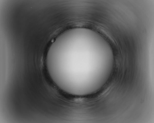 X0000091900216200709261703