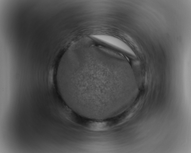 X0000091900217200709261703