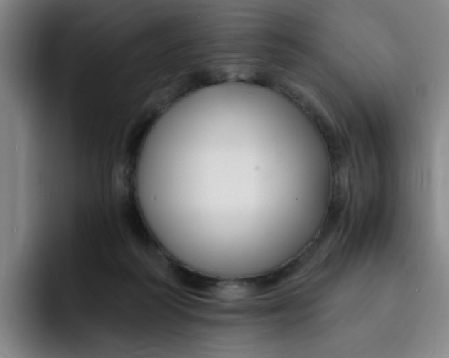 X0000091900218200709261703