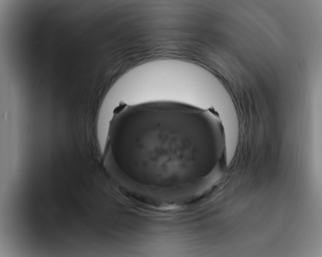 X0000091900219200709261703