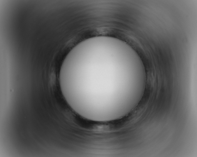 X0000091900220200709261703