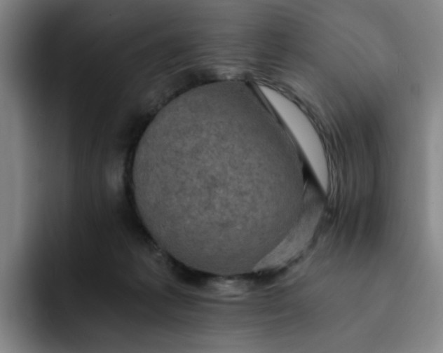 X0000091900221200709261703