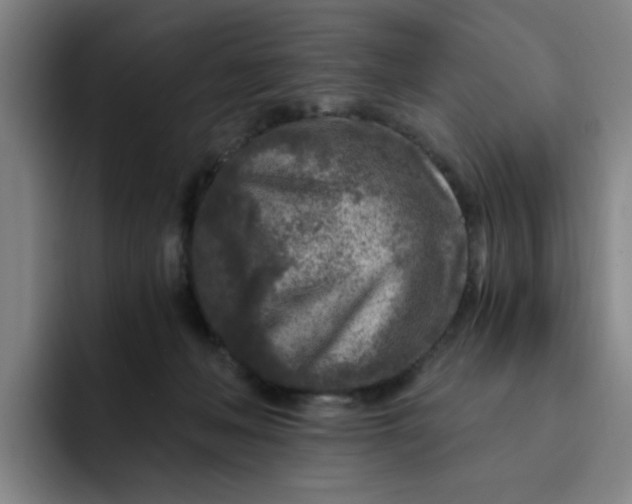 X0000091900222200709261703