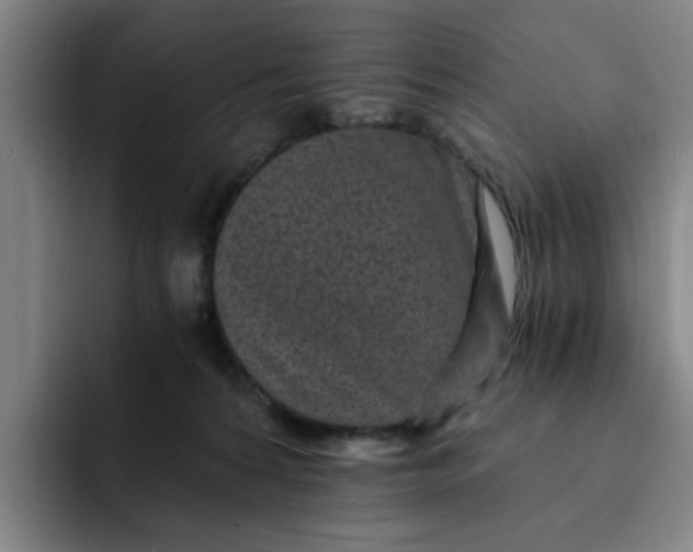 X0000091900224200709261703