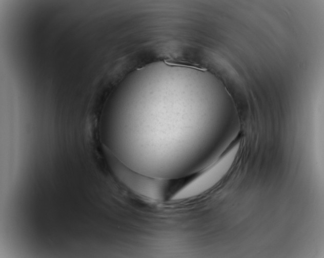 X0000091900229200709261703